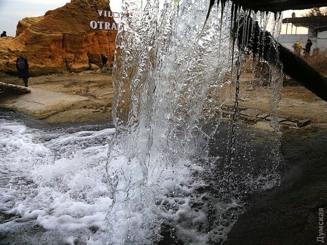 Майже весна: дивовижний фоторепортаж з Одеси - фото 146300