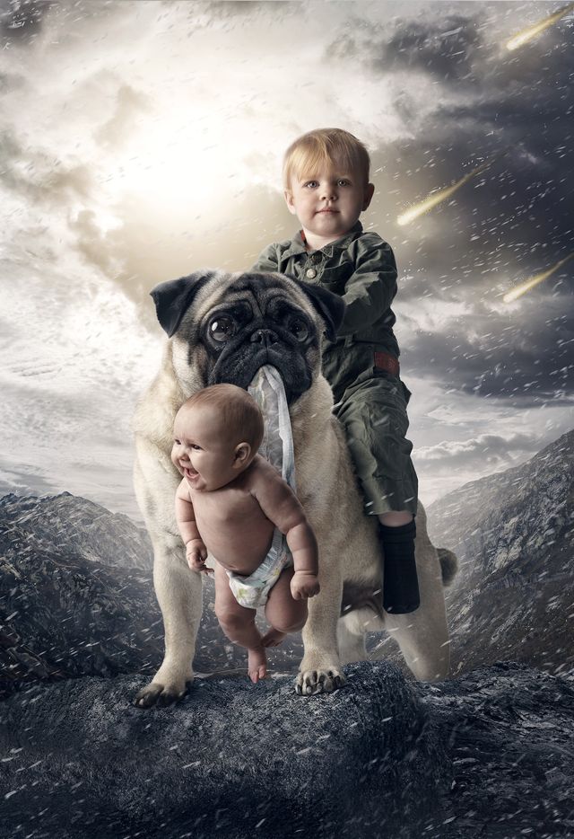 Донечка - фото 142049