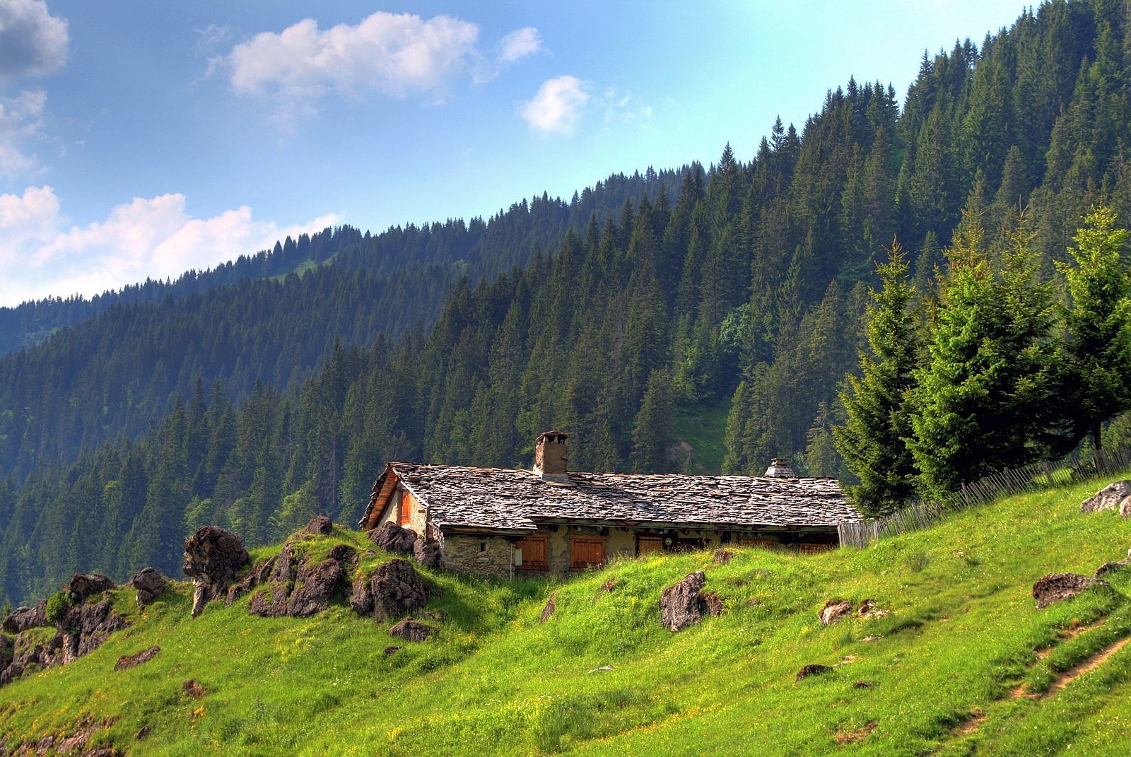 Їдемо, мала, в Карпати! Як гори впливають на нас