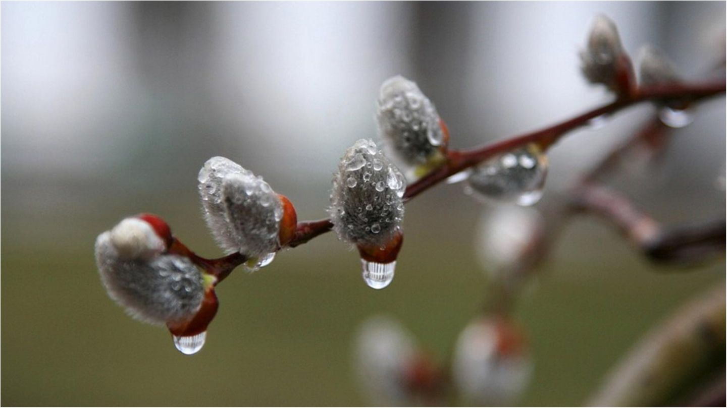 Синоптики спрогнозували українцям потепління