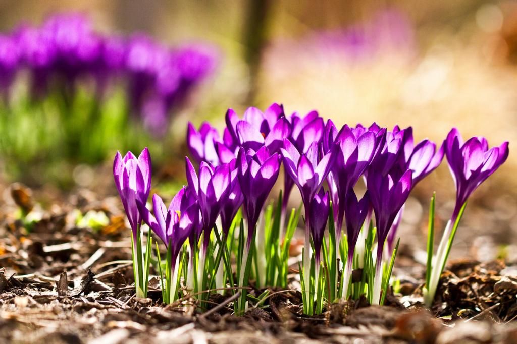 Яка погода очікує українців на вихідних