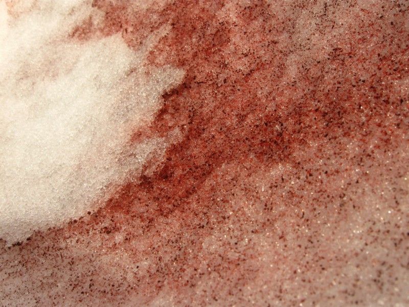 У Росії випав "кривавий" сніг: з'явилося відео