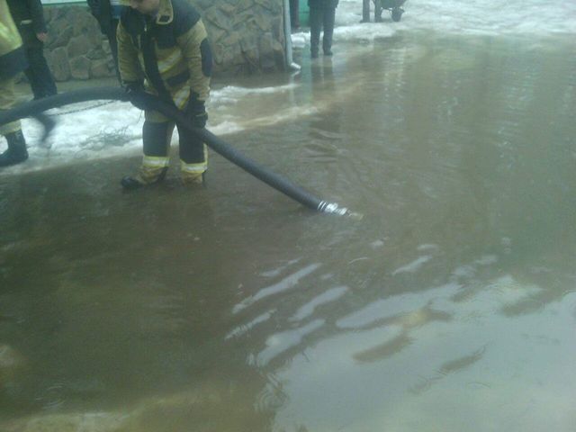 Закарпаття потерпає від повені: з'явилося фото і відео - фото 139645