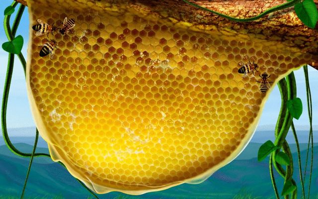 Щоранку треба їсти "бджолиний хліб". Особливо чоловікам - фото 146176