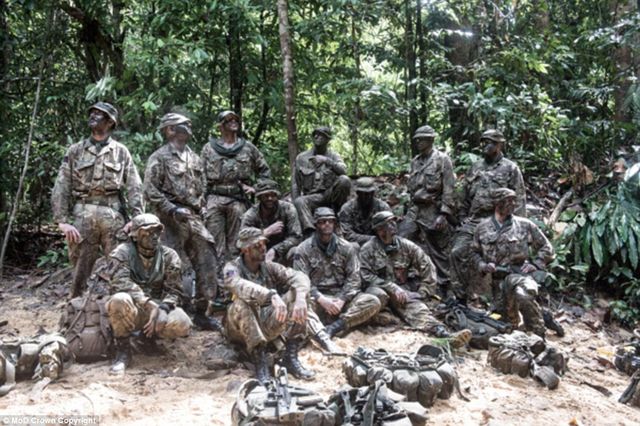 Знайди солдатів: Daily Mail спантеличила читачів новою загадкою - фото 141434