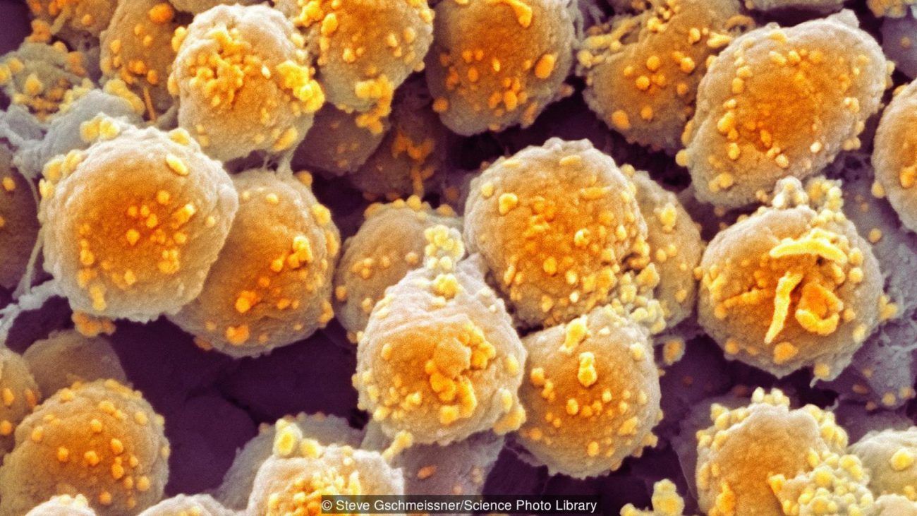 Вчені зробили незвичайне відкриття про первісні мікроорганізми