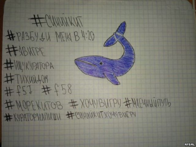 "У кінці гри ти помираєш": журналіст зіграв у "Синій кит" - фото 143435