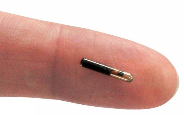 Мікрочіп - фото 139815