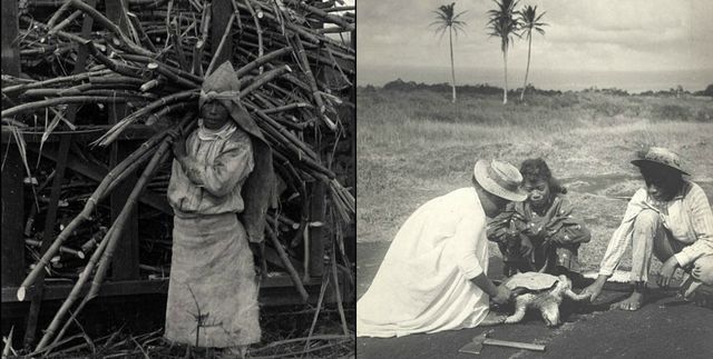 Як виглядали Гаваї у 1890-х роках: унікальні фото - фото 143691