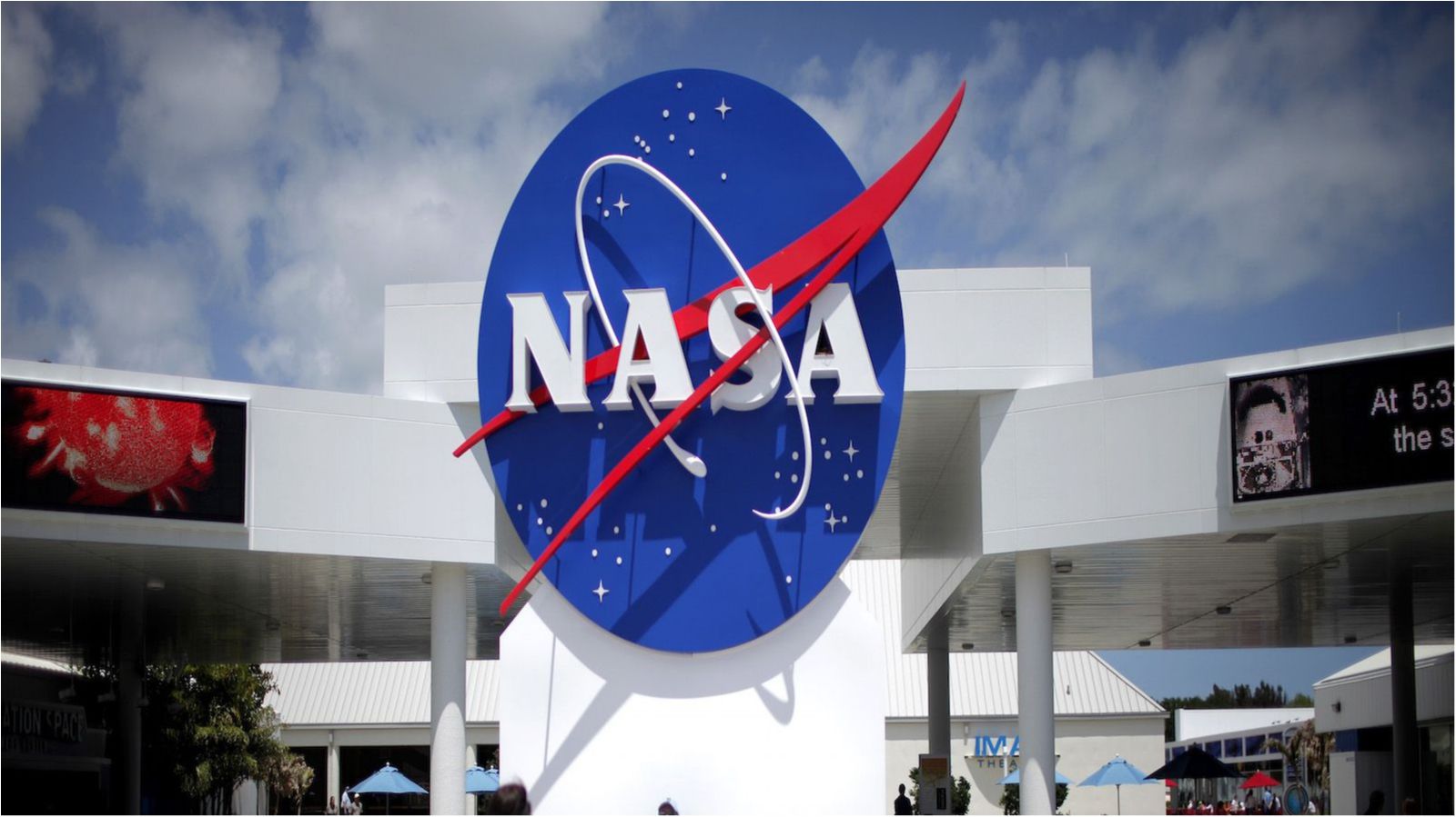 NASA показало фото лісу, що нагадує шахову дошку