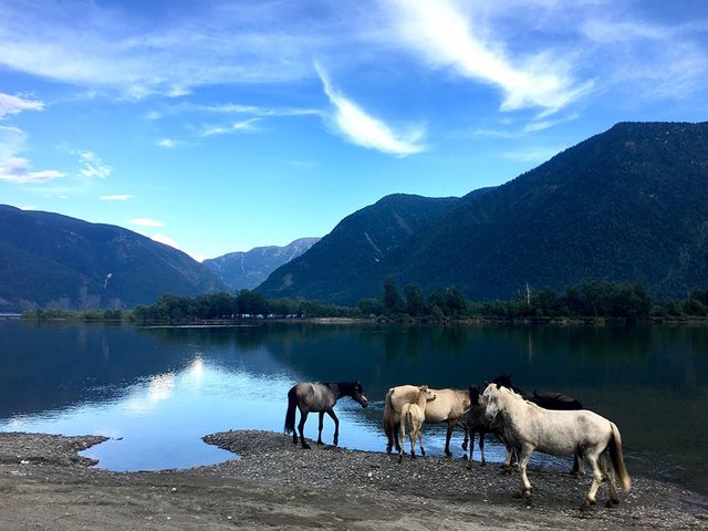 Переможець в категорії "макрозйомка" - фото 145321