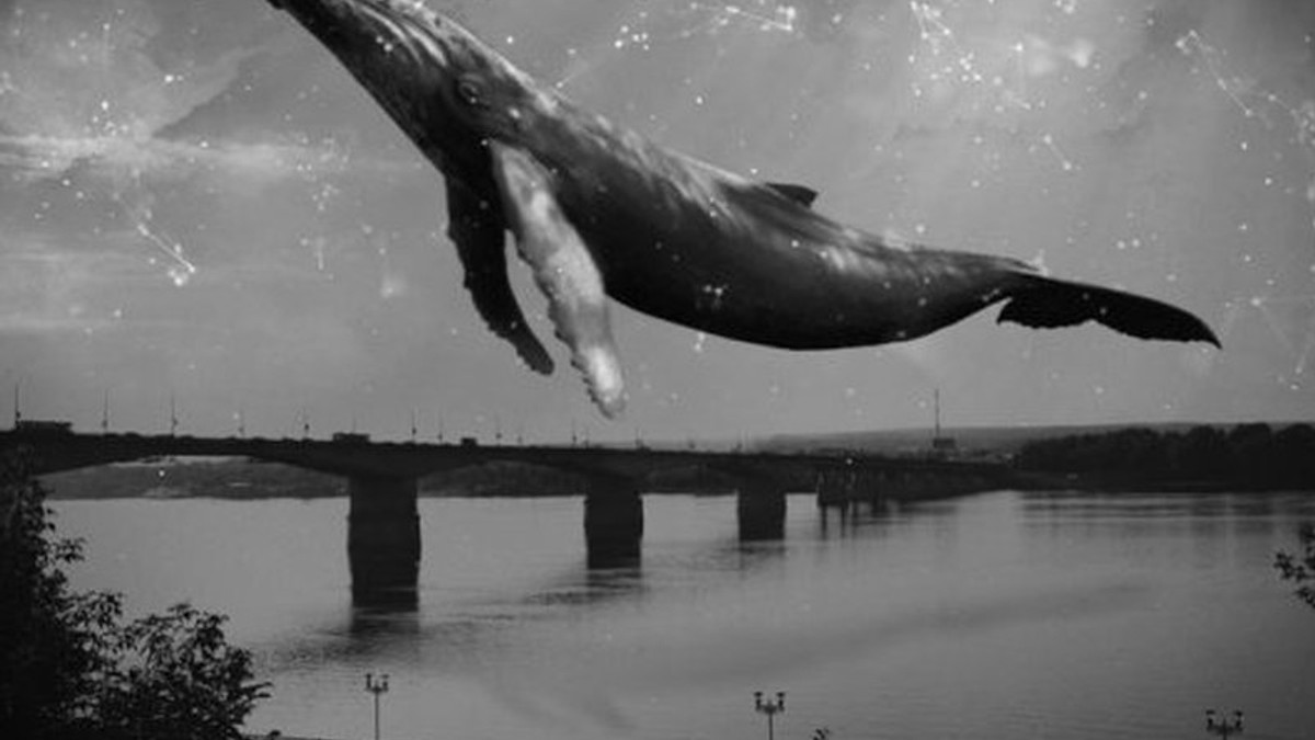 Синій кит - групи, які закликають підлітків до самогубства - фото 1