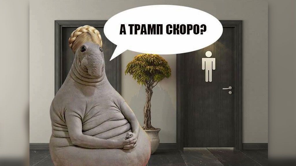 Не біля туалету: Тимошенко розповіла про зустріч з Трампом