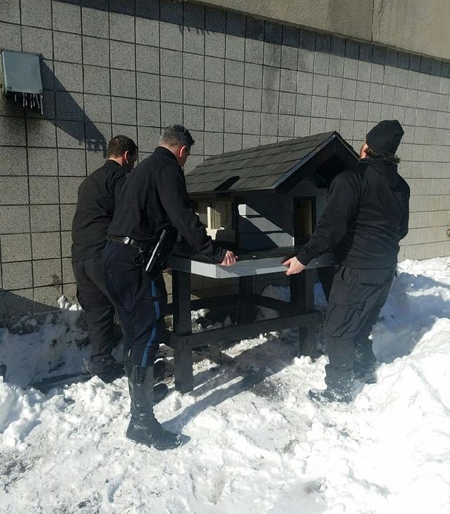 У США поліцейські збудували будиночок для свого кота-талісмана - фото 144065