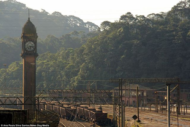 Покинута залізниця з привидами: фото унікального селища в джунглях Бразилії - фото 145356