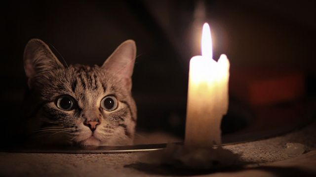 Бойкот Євробачення і обличчя любові: 13 лютого в трьох фото - фото 142456