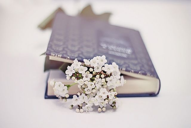 Що читати, щоб дожити до весни: 5 рекомендацій