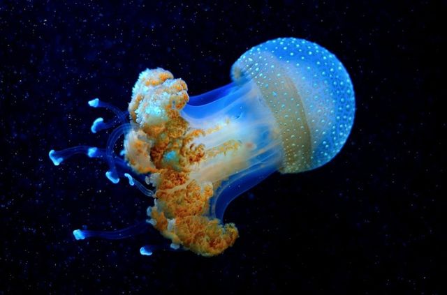 Перехоплює дух: 12 неймовірних світлин без фотошопу - фото 141912