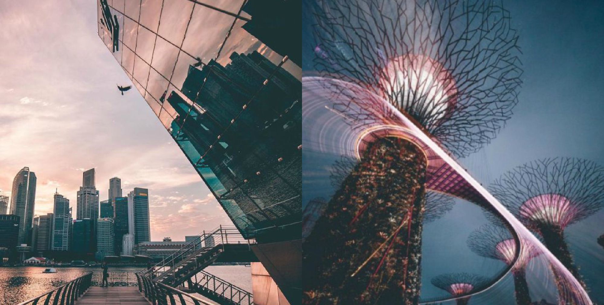 Як виглядає Сінгапур у нічних вогнях: казкові фото