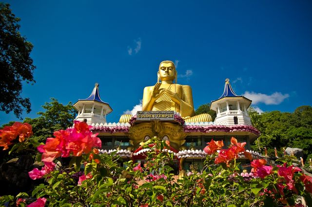10 цікавих фактів про Шрі-Ланку - фото 146596
