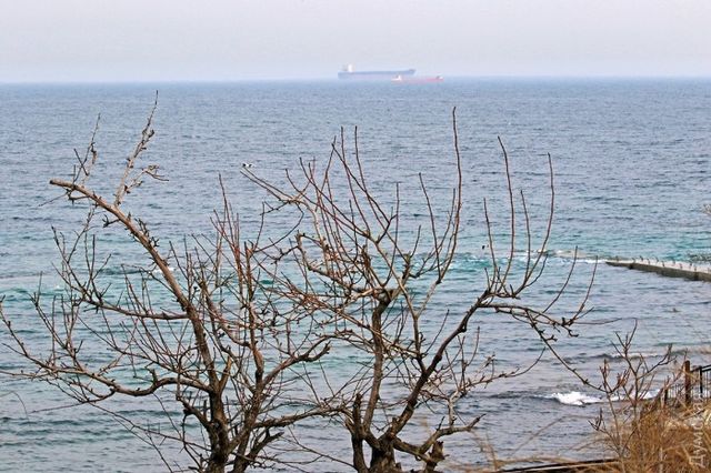 Майже весна: дивовижний фоторепортаж з Одеси - фото 146304