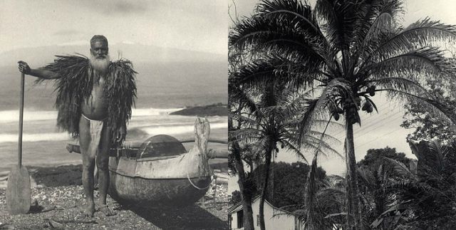 Як виглядали Гаваї у 1890-х роках: унікальні фото - фото 143693