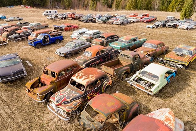 У Канаді продають два гектари старих автомобілів - фото 155962