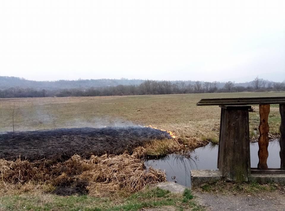 Долина нарцисів - фото 1