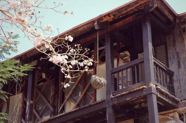 Як виглядає закинутий панамський курорт: вражаючі фото - фото 152614