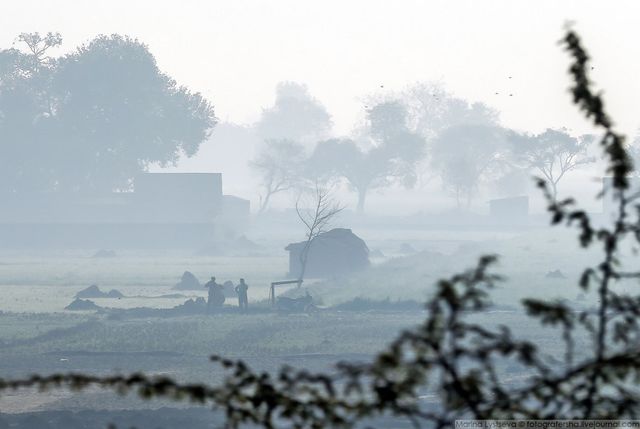 Індія з вікон автобусів: незвичайні фото - фото 155792