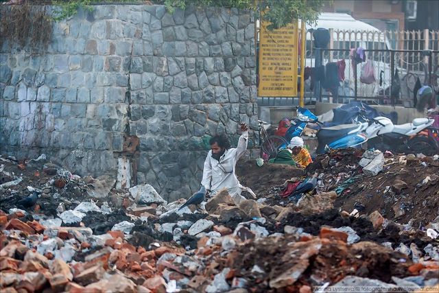 Індія з вікон автобусів: незвичайні фото - фото 155781