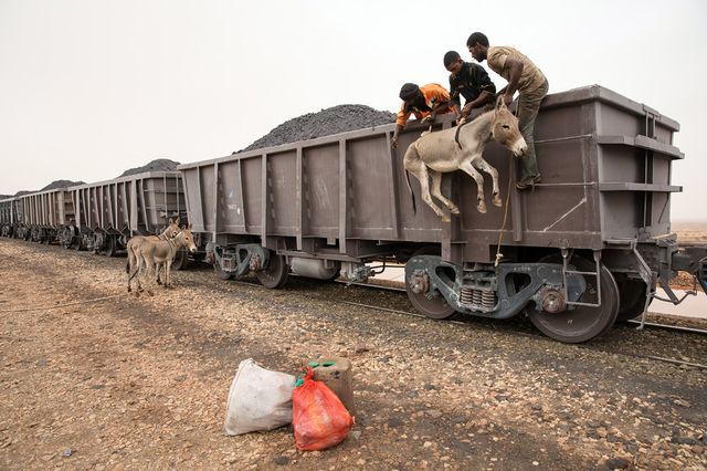 На даху потяга: неймовірна подорож пустелею - фото 151704