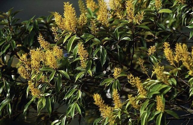 Знайди тваринку: неймовірні фото природи підкорили мережу - фото 147717