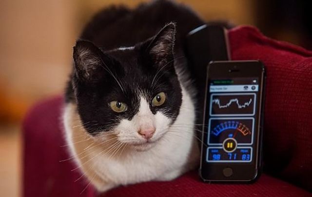 Мерлін - фото 147727