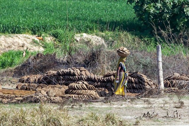 Індія з вікон автобусів: незвичайні фото - фото 155796