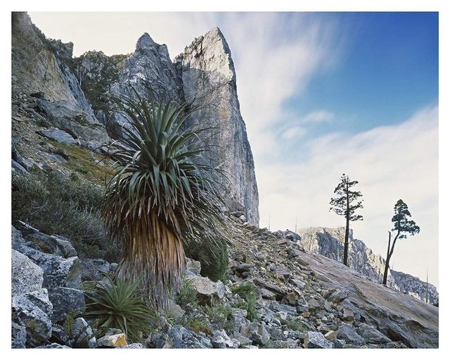 Як виглядає первісна краса Тасманії - фото 150542