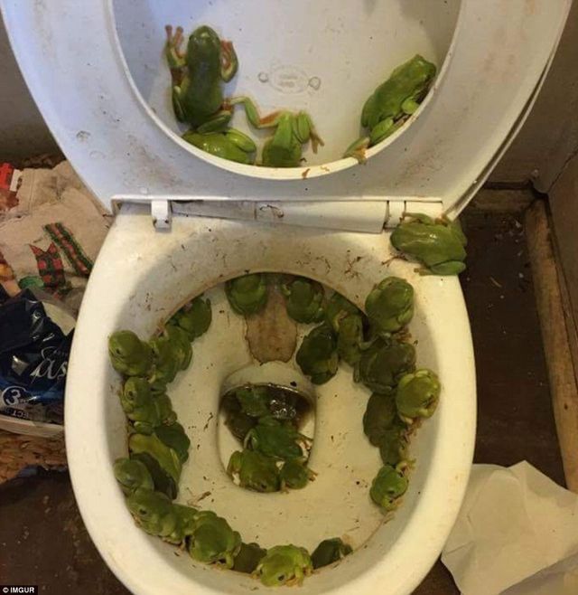 Мережу підкорив новий флешмоб про пекельну відпустку: кумедні фото - фото 149129