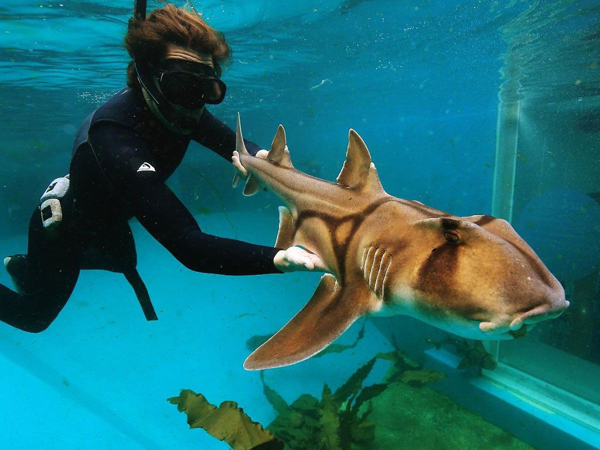 Вчені заявили про неймовірне походження людини