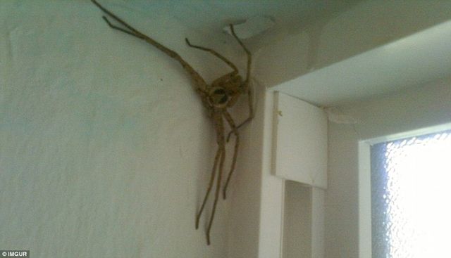 Мережу підкорив новий флешмоб про пекельну відпустку: кумедні фото - фото 149122