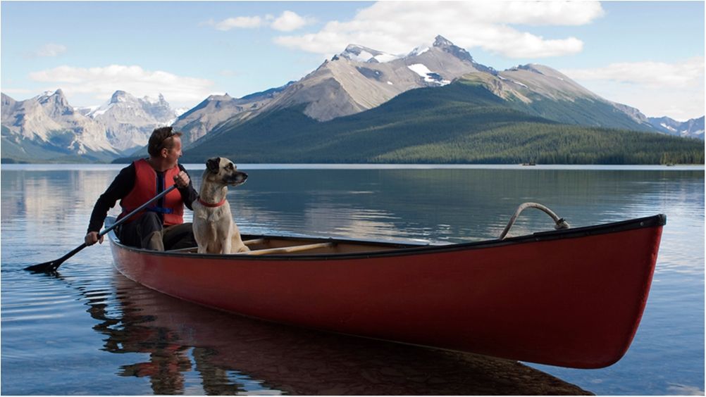 Найкращі породи собак для чоловіків