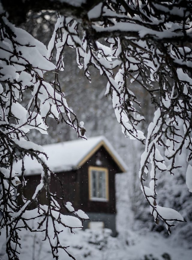 Сувора краса невідомої Швеції: вражаючі фото - фото 155016