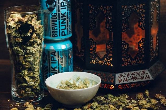 Рай для пиволюбів: як виглядає найхмільніший готель світу - фото 151965