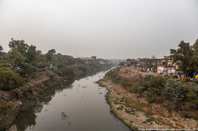 Як виглядають звичайні будні мешканців Пакистану: вражаючі фото - фото 149185