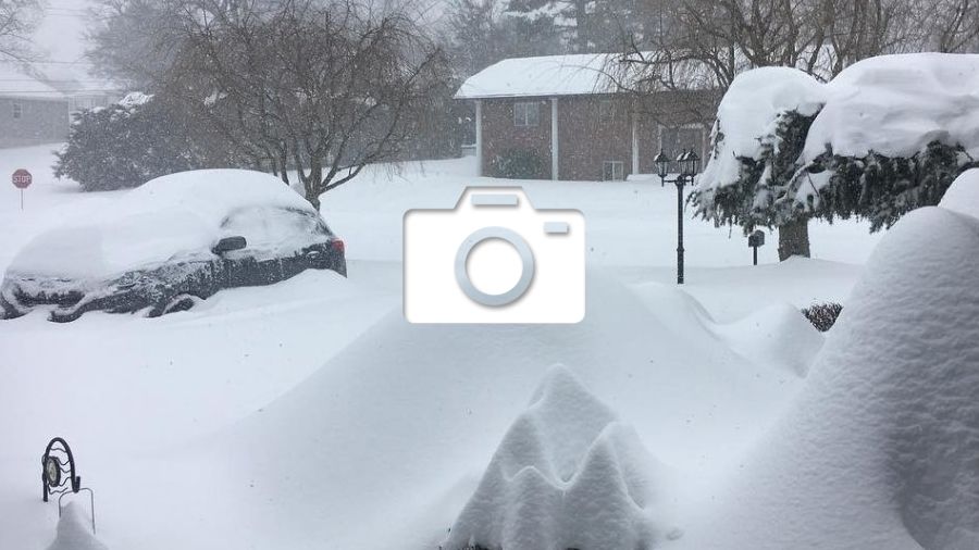 Фото з Instagram - фото 1