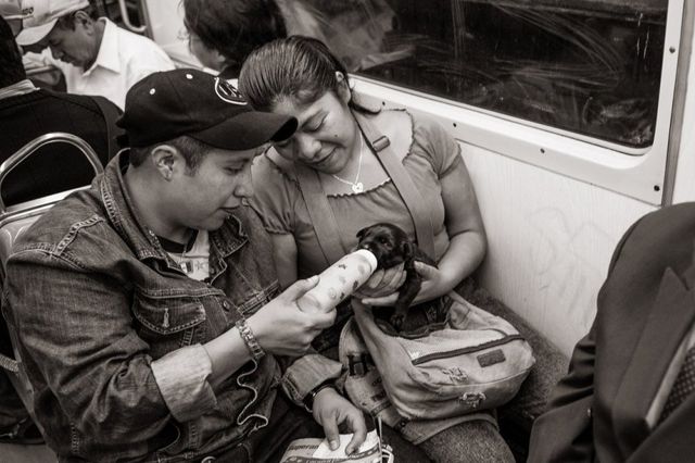 Як виглядає метро в різних країнах світу: вражаючі фото - фото 151094