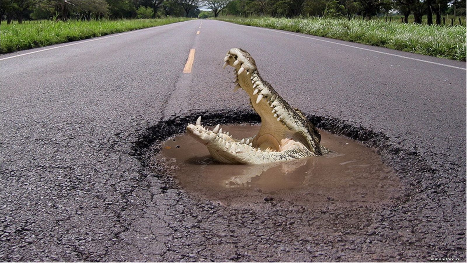 Не їдьте туди! Ми знаємо, де в Україні найгірші дороги