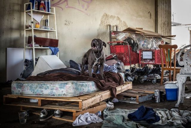 Лос-Анджелес перетворюється у місто безхатьків: вражаючі фото - фото 150323