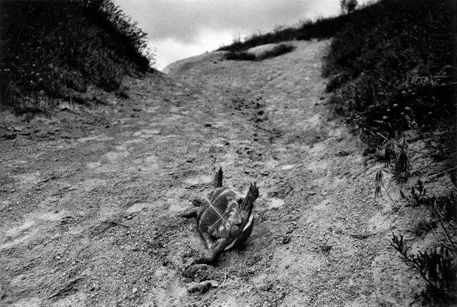 Як виглядала Європа у 80-х роках: ефектні фото - фото 148769