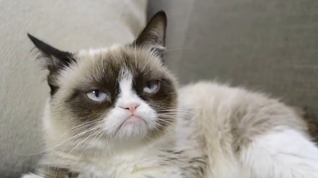 Грампі - фото 147708