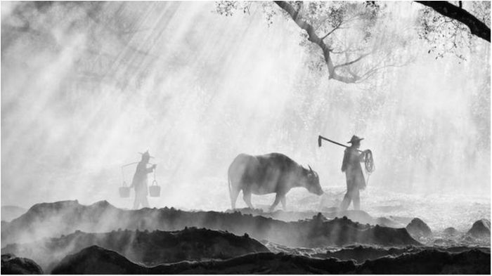 На межі вимирання: фотограф показав зникаючі культури світу